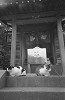 bwneko21_thumb.jpg