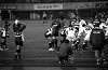rugby02_thumb.jpg