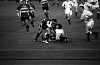 rugby10_thumb.jpg