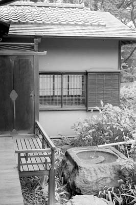 crop0225a.jpg