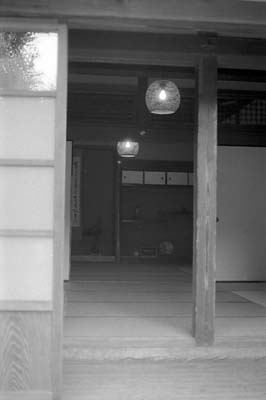 crop0226a.jpg