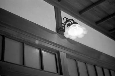 crop0237a.jpg