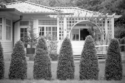 crop0239a.jpg