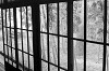 crop0242a_thumb.jpg