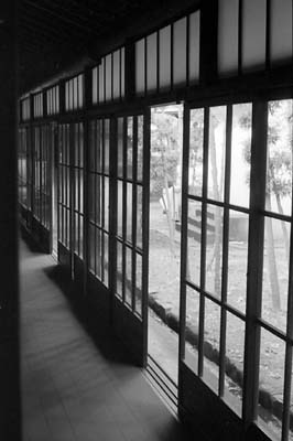crop0244a.jpg