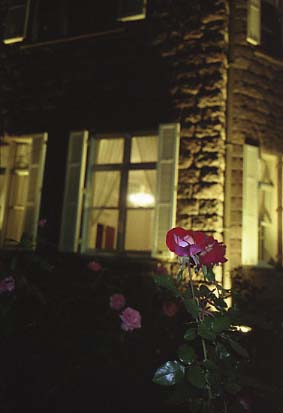 furukawa07.JPG