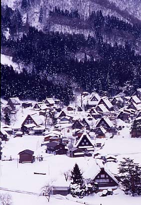 shirakawa03.JPG