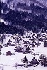 shirakawa03_thumb.jpg
