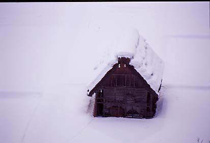 shirakawa05.JPG