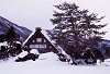 shirakawa06_thumb.jpg