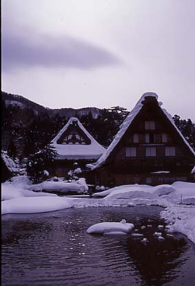 shirakawa07.JPG
