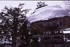 shirakawa10_thumb.jpg