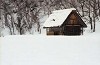 shirakawa13_thumb.jpg
