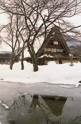 shirakawa18.JPG